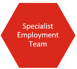 Management Team